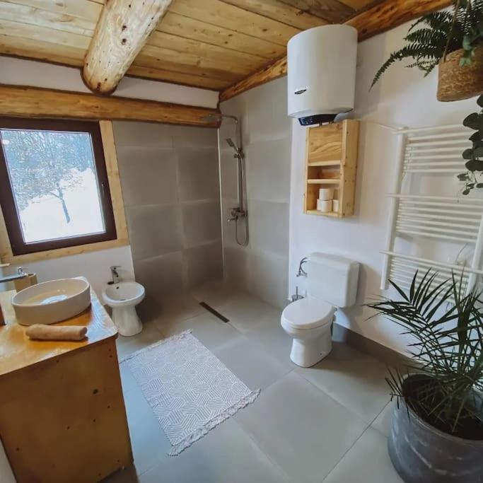 Aframehouse Surdesti (Maramures)