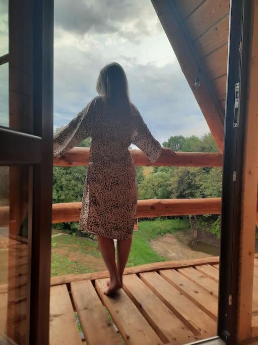 Aframehouse * Surdesti (Maramures)